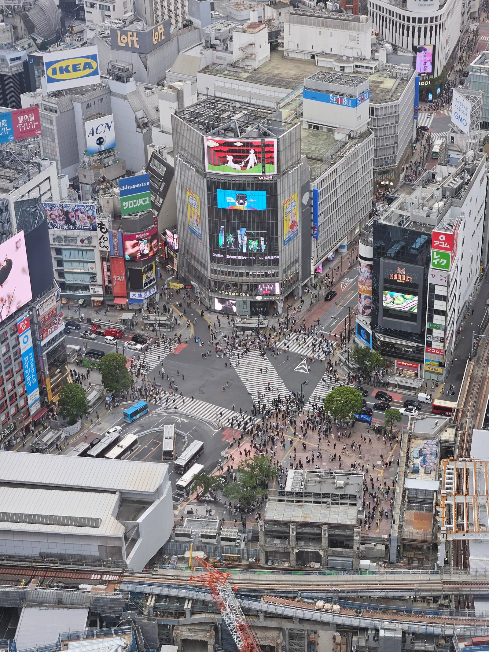 渋谷まち歩きに参加しました